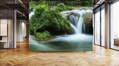 Panoramic view of small waterfalls streaming into small pond in green forest in long exposure Wall mural